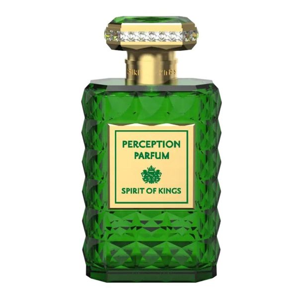 Spirit Of Kings Perception EDP 100Ml Online now